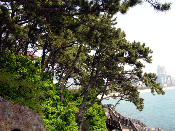 chang 50y 030.jpg